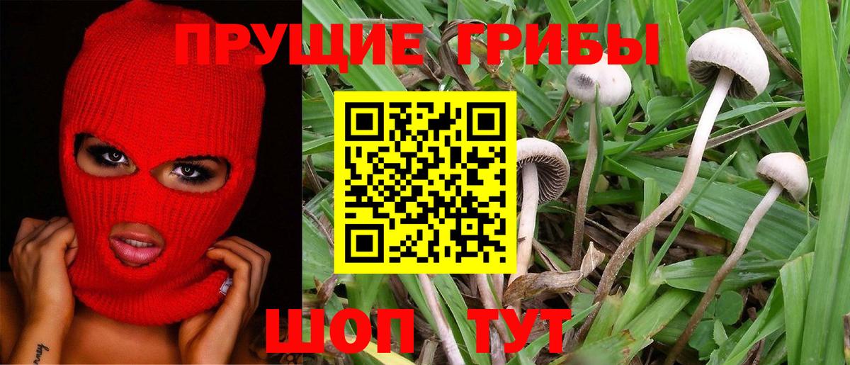 Псилоцибиновые грибы Magic Shrooms Миллерово